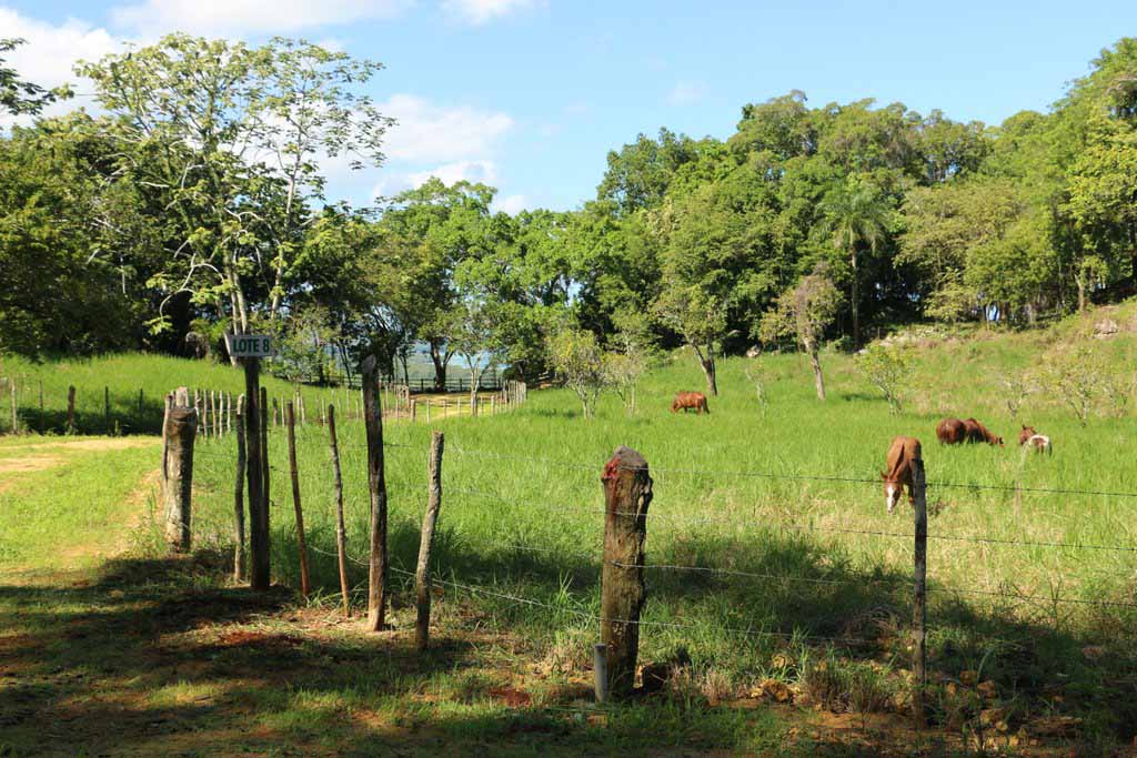 Rancho-Santuario-Horse-Fences